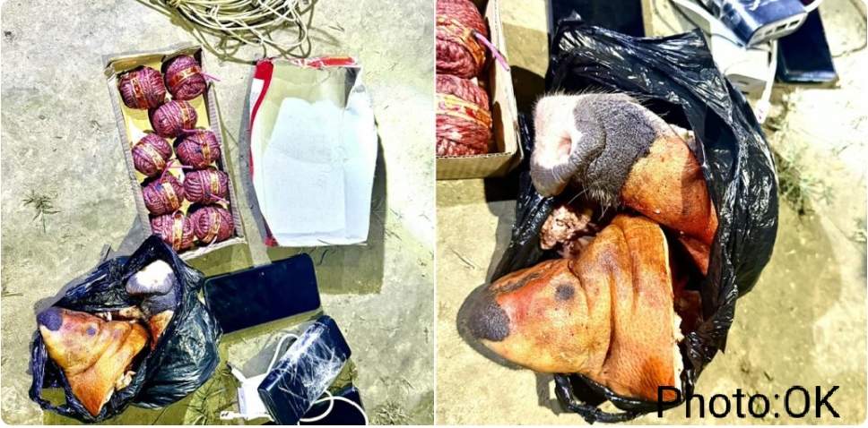 सुतली बम र सुँगुरको टाउको सहित ३ जना पक्राउ