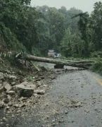 पहिरो र रुख ढलेपछि मेची राजमार्ग अवरुद्ध, दुई स्थानमा यातायात ठप्प