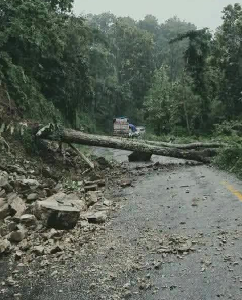 पहिरो र रुख ढलेपछि मेची राजमार्ग अवरुद्ध, दुई स्थानमा यातायात ठप्प